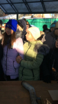 IMG-20181129-WA0055